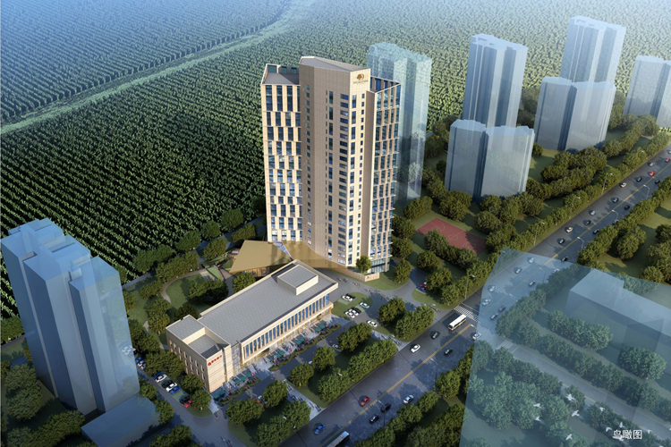 不负春光起好步，，希尔顿逸林旅馆公寓项目银行主体封顶大吉